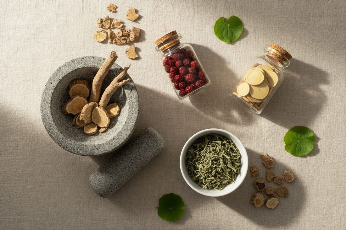 Flat lay of adaptogenic herbs including ashwagandha root, schisandra berries, holy basil, astragalus, and eleuthero with a mortar and pestle and glass apothecary jars on a warm linen surface
