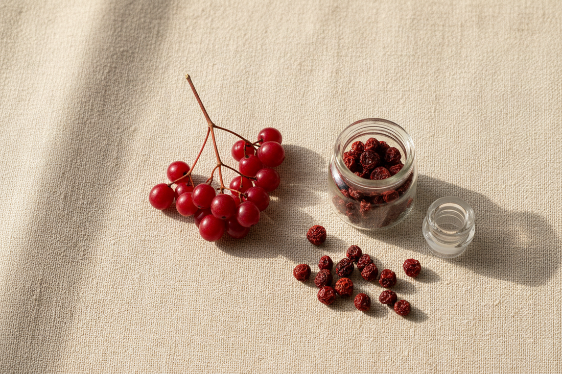 Schisandra Berry — The Ancient Adaptogen Worth Knowing