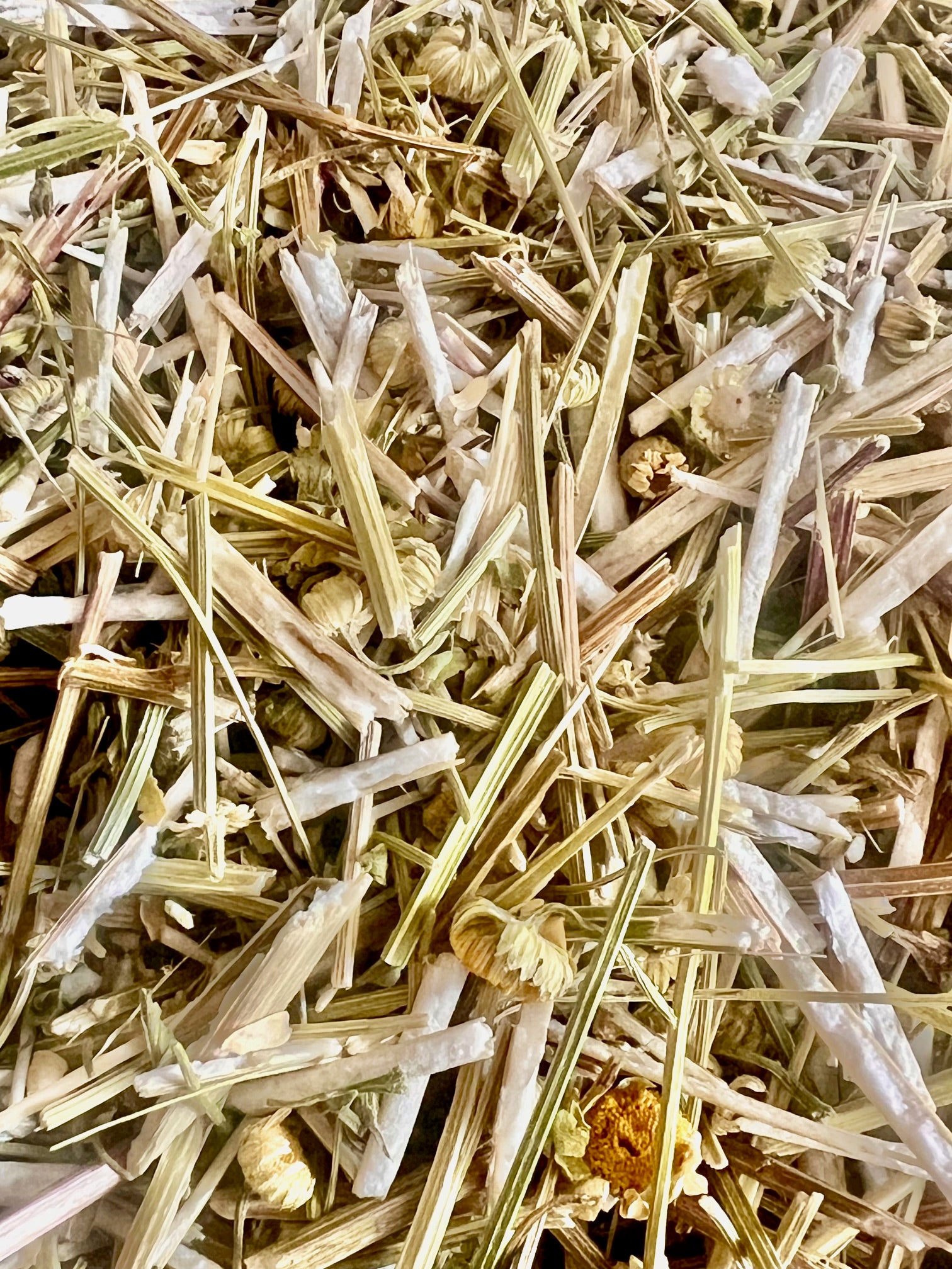 Feverfew, Certified Organic, Cut & Sifted