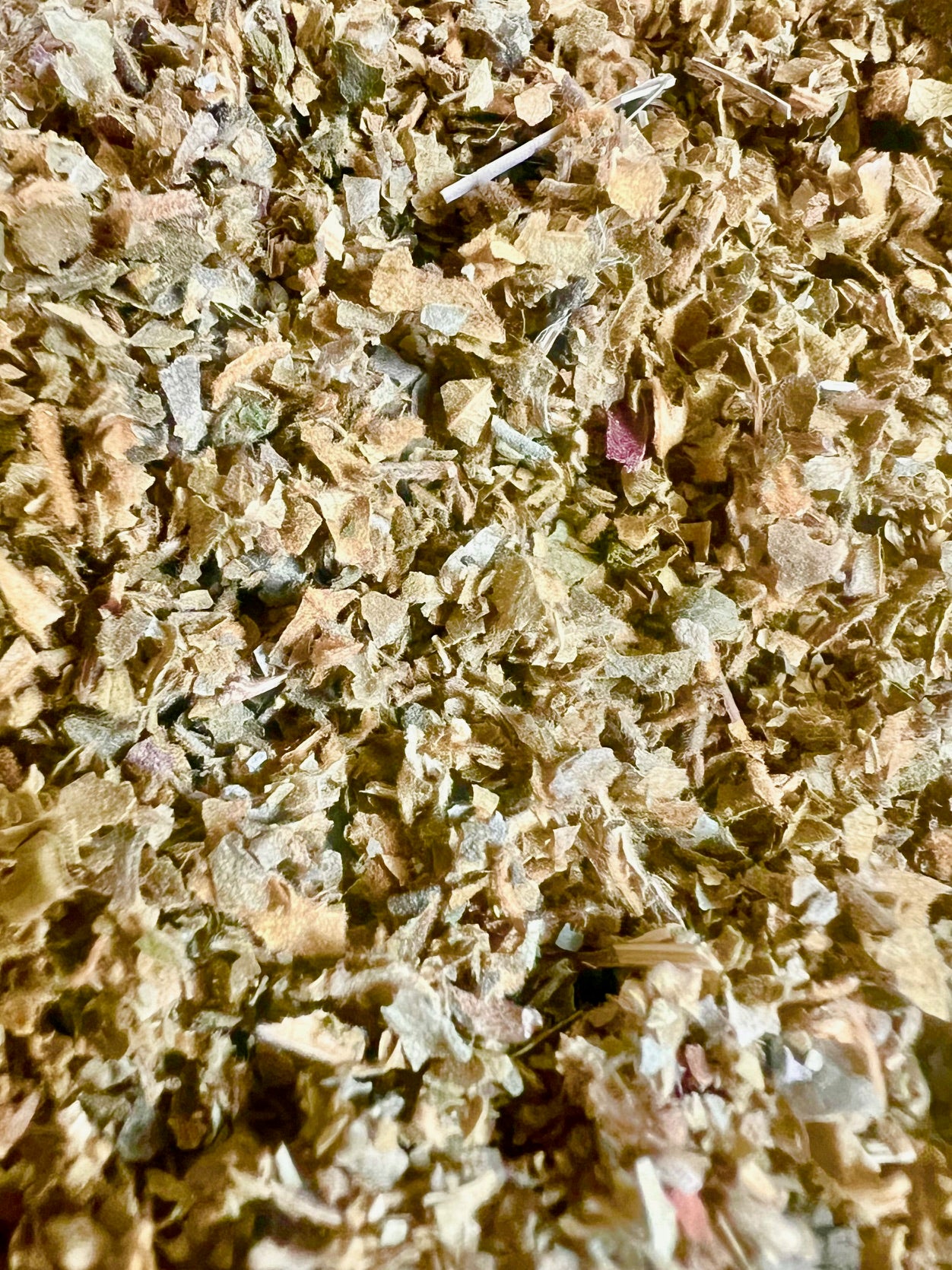 Gymnema Leaf, Certified Organic, Cut & Sifted