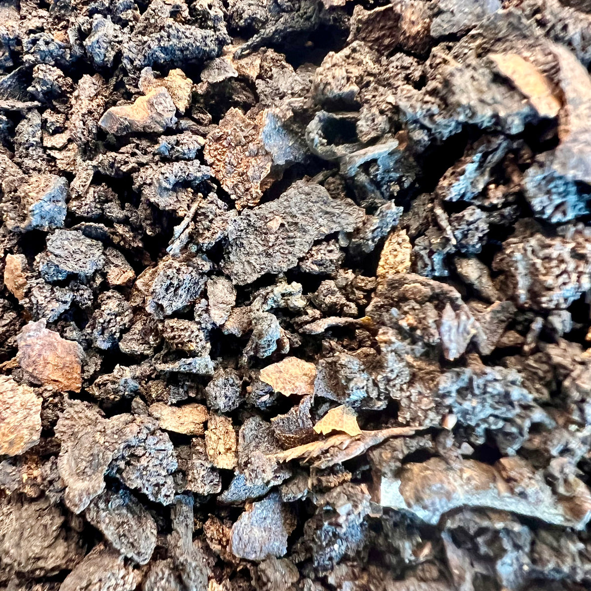 Black Walnut Hull | Cut & Sifted | Juglans nigra