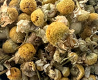 Chamomile, Whole (Organic)