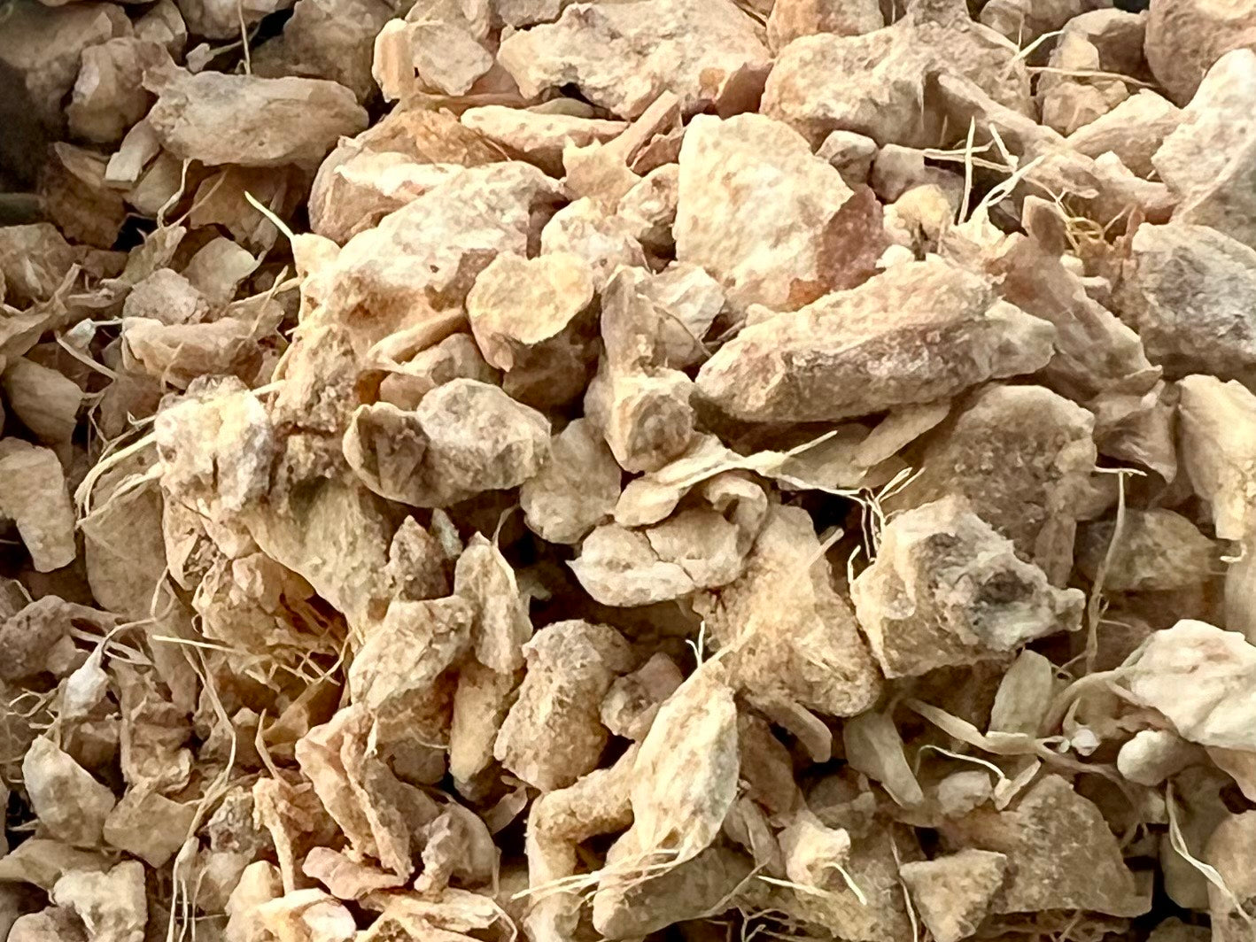 Ginger Root, Tea Cut (Organic)