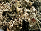 Raspberry Leaf, Tea Cut (Organic)