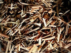 St. John's Wort, Tea Cut (Organic)