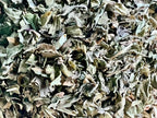 Peppermint, Tea Cut