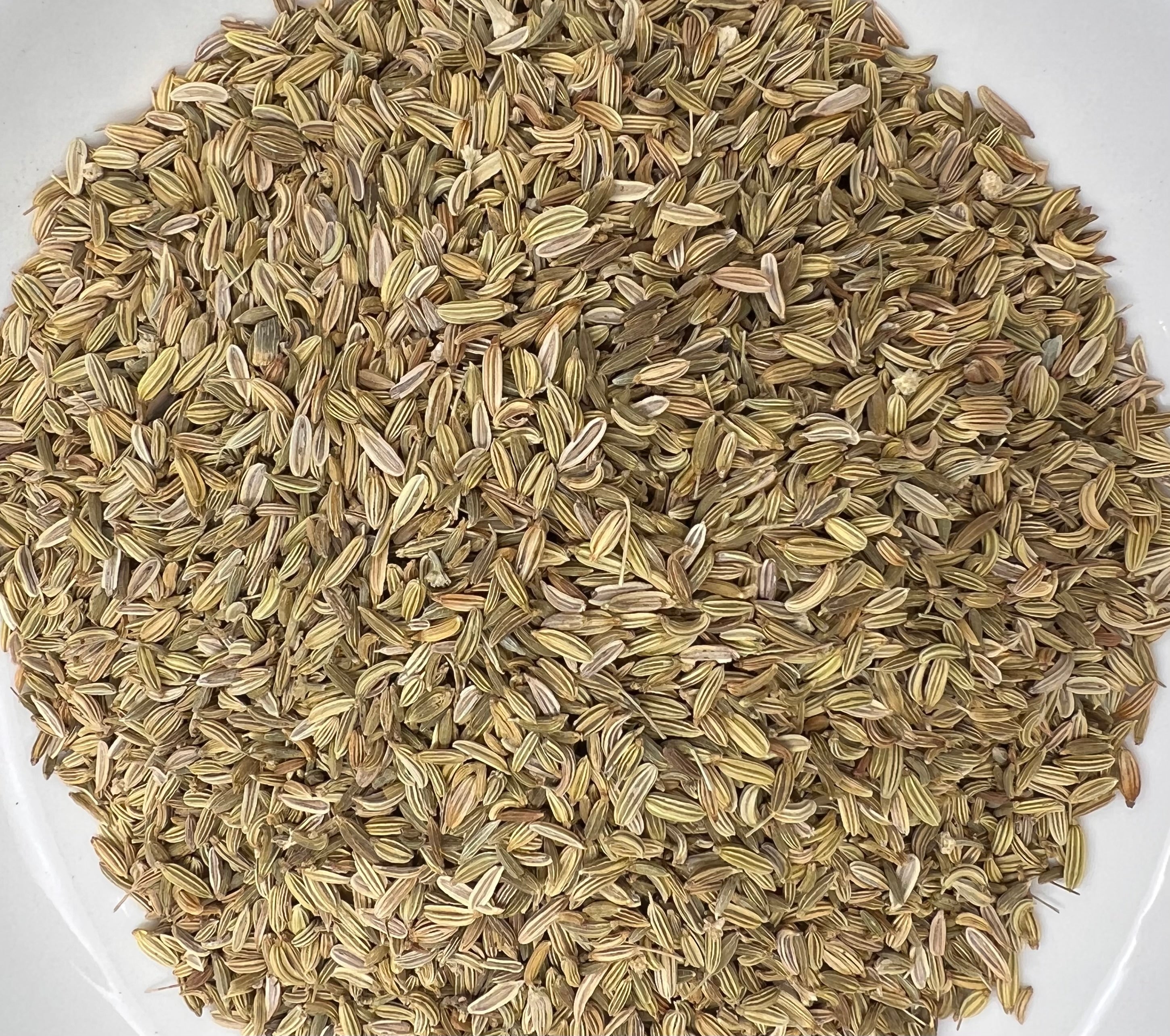 Fennel Seed, Whole (Organic)