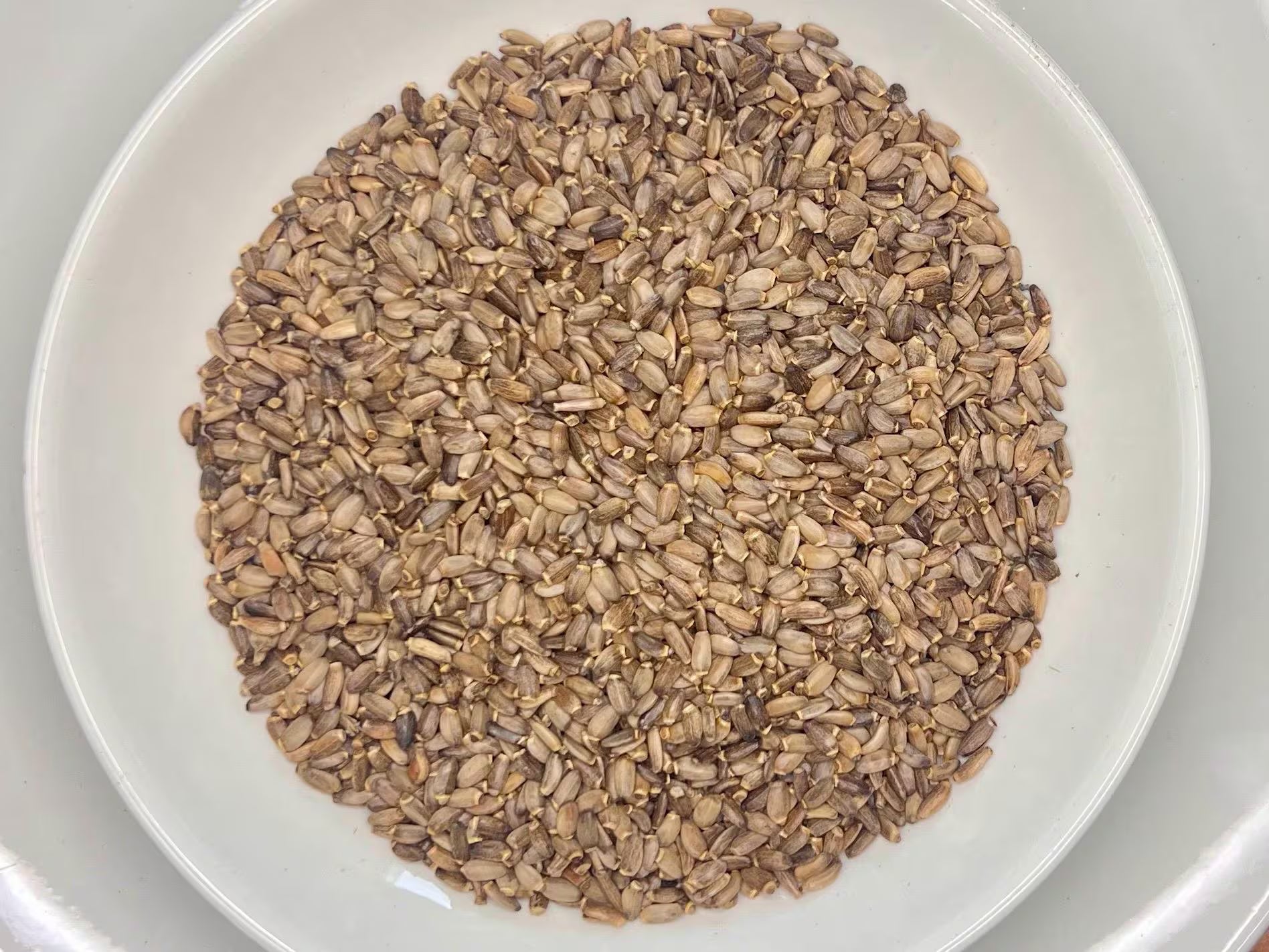 Milk Thistle Seed, Whole (Organic)