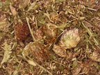 Red Clover Tops, Whole