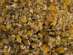 Chamomile, Whole (Organic)