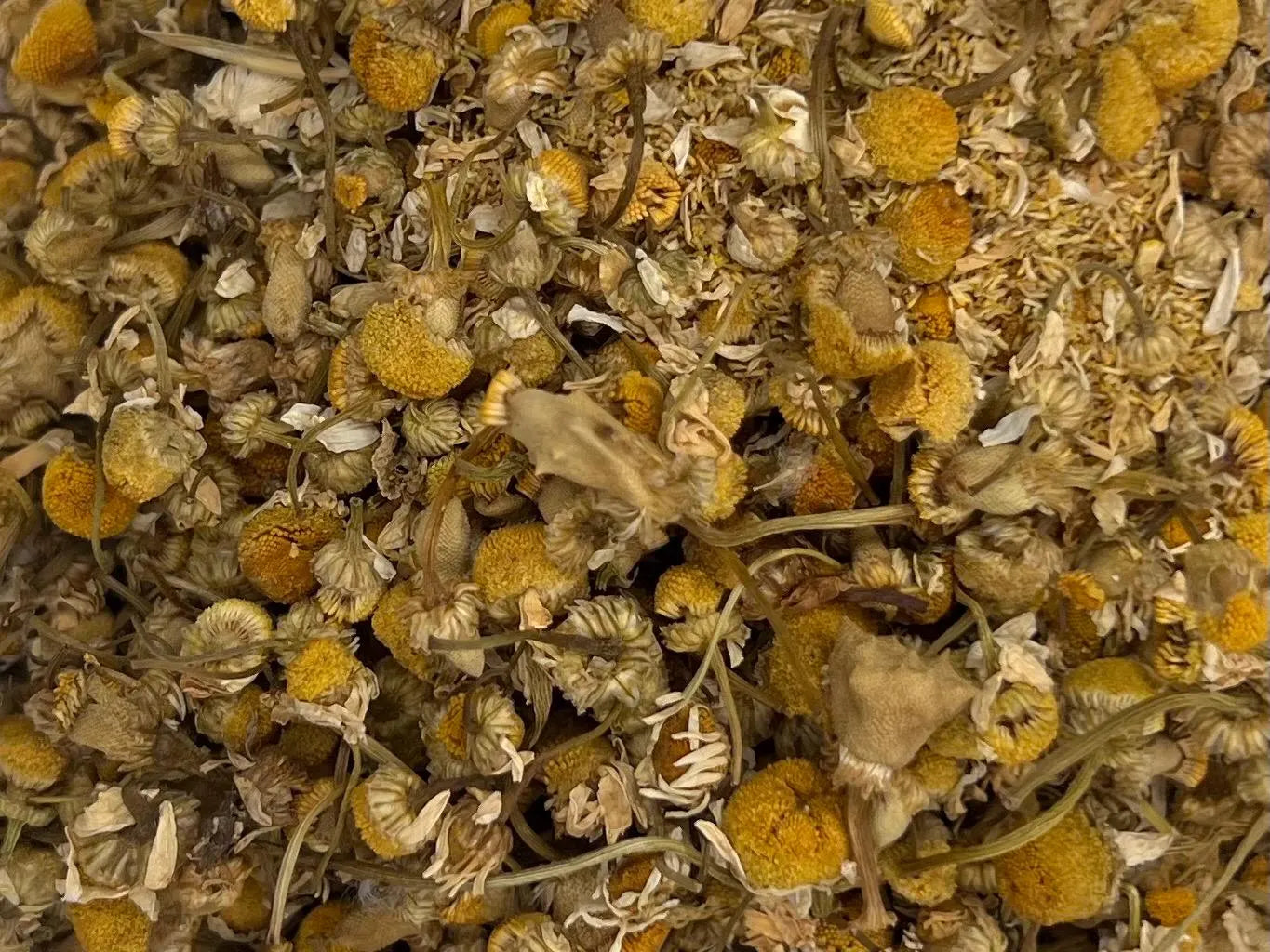Chamomile, Whole (Organic)