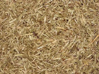 Horsetail, Cut & Sifted (Organic)