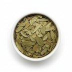 Whole dried uva ursi bearberry leaves in a white ceramic bowl on a white background, spatula-shaped glossy olive green leaves