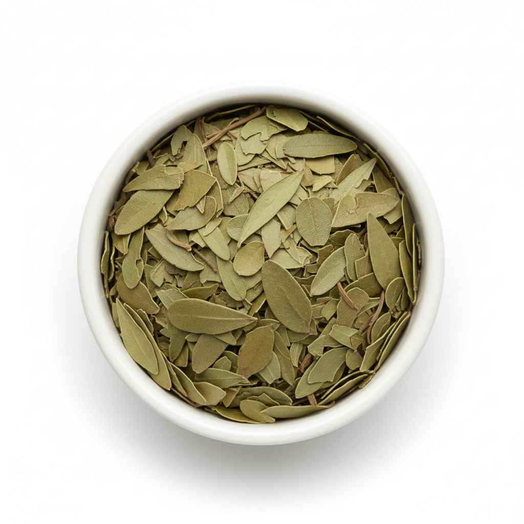 Whole dried uva ursi bearberry leaves in a white ceramic bowl on a white background, spatula-shaped glossy olive green leaves