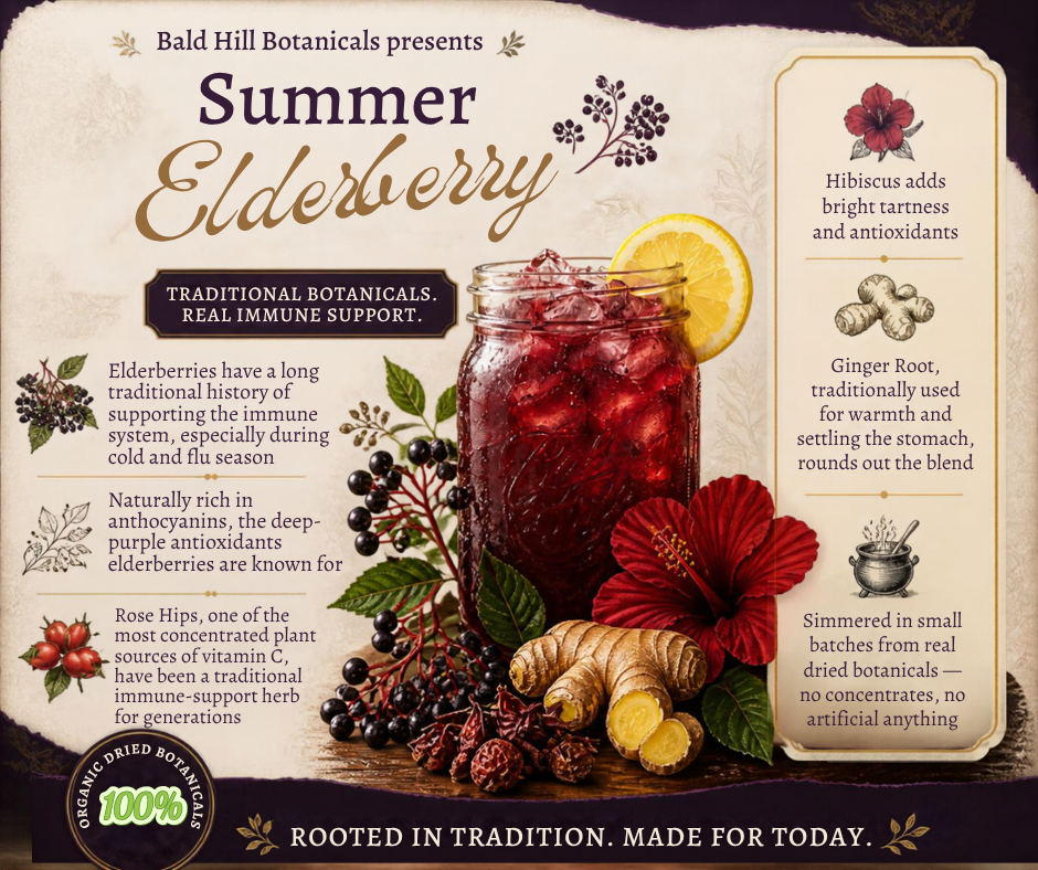 Summer Elderberry ad graphic: a mason jar of ruby-purple elderberry drink over ice with lemon, surrounded by dried elderberries, rose hips, hibiscus, ginger root, and honey, with the headline Summer Elderberry and the line Traditionally brewed to support your immune system
